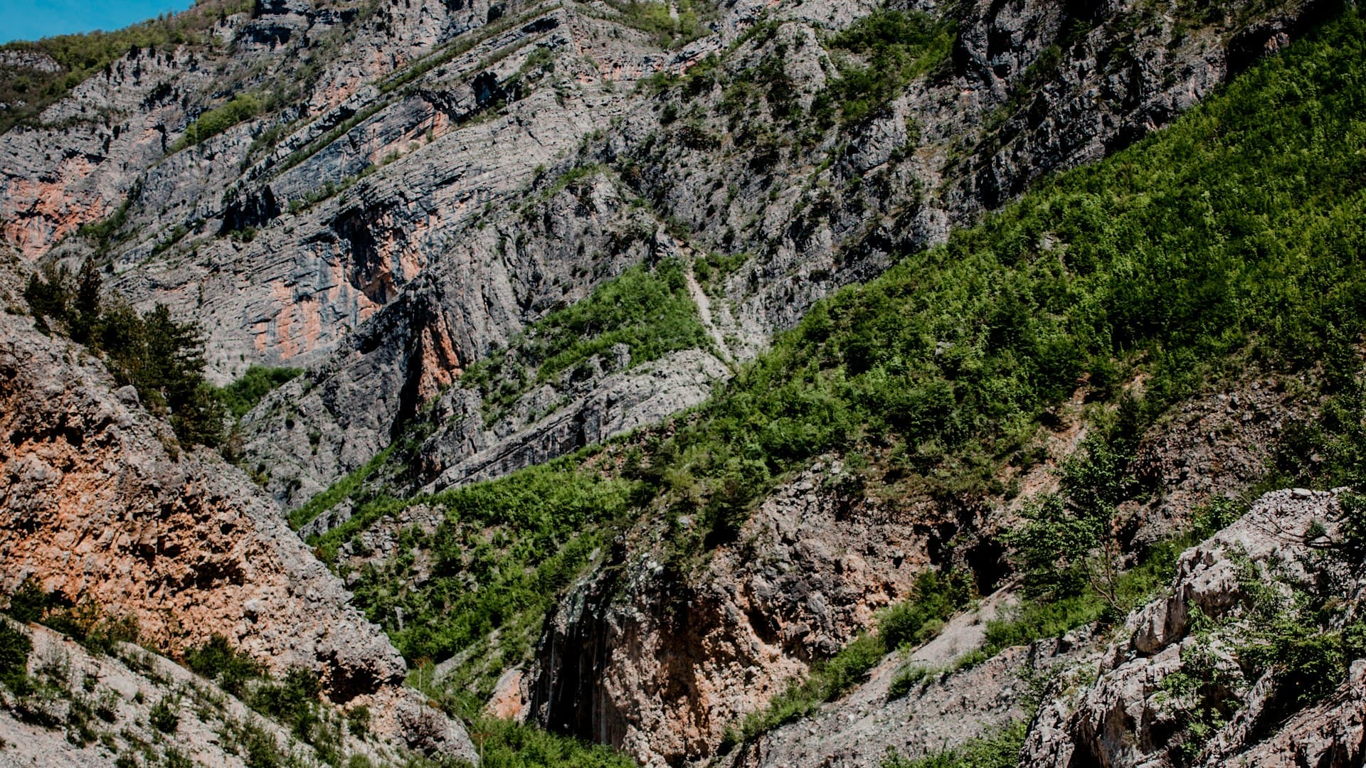 An open road heading down the Albanian coast